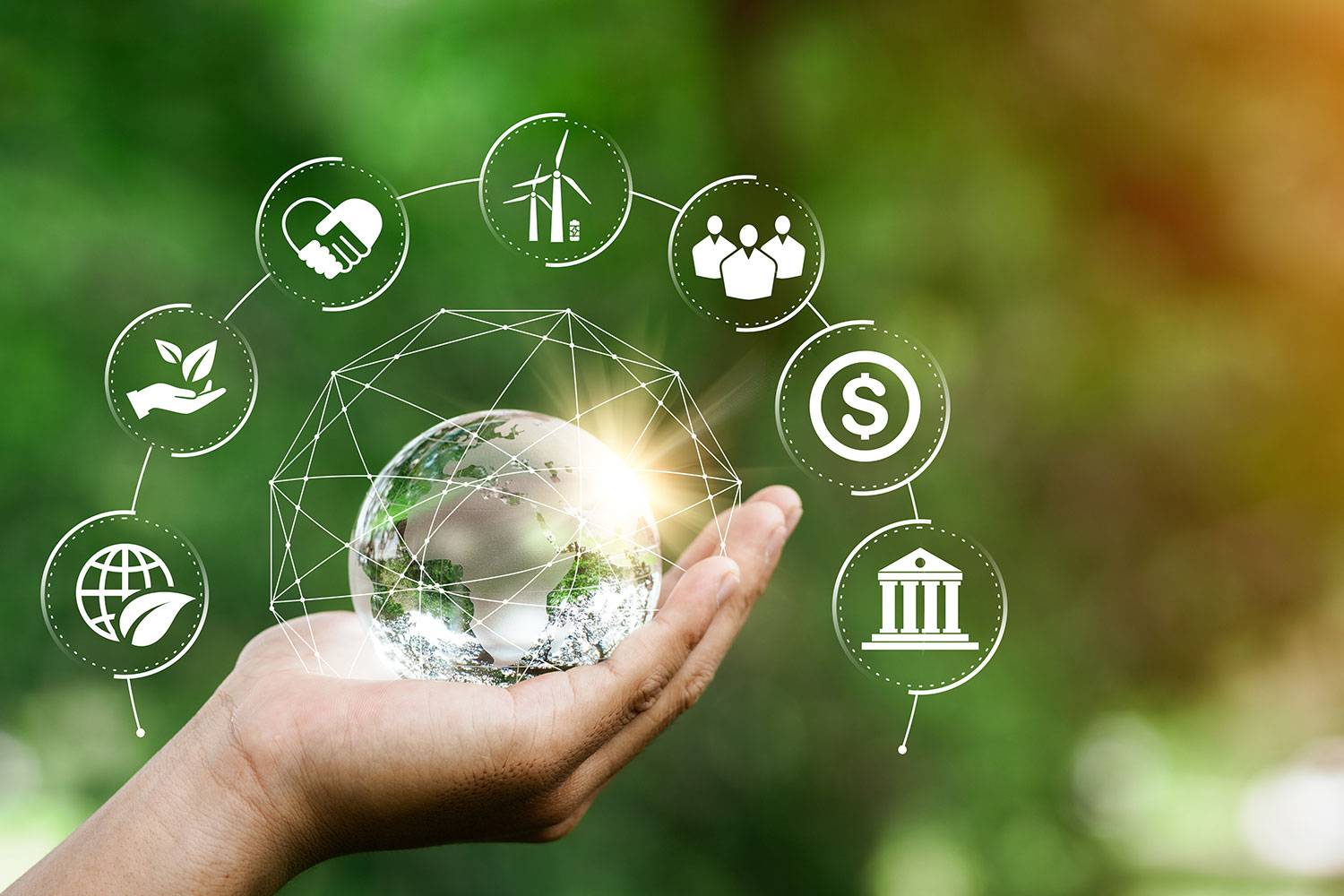 Sustainable Wealth Planning with  Leviorauc 